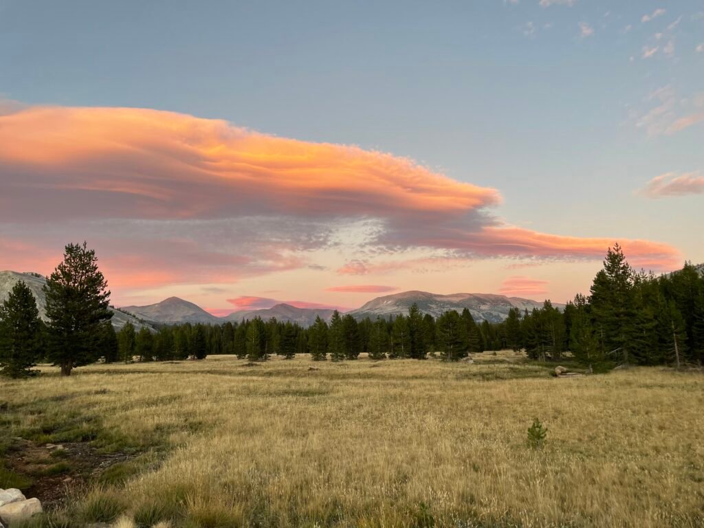 Tuolumne Meadows