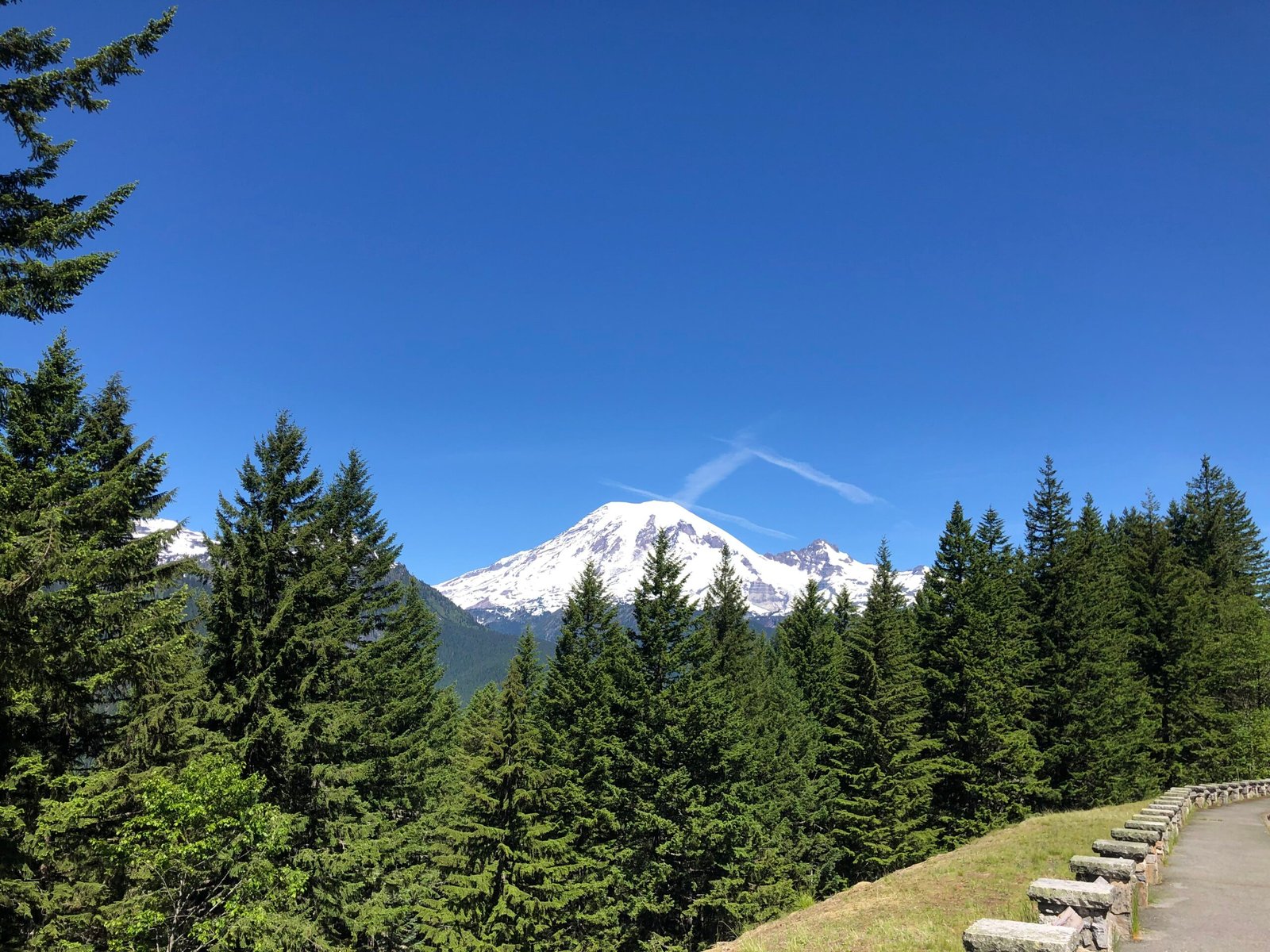 Mount Rainier through pines trees