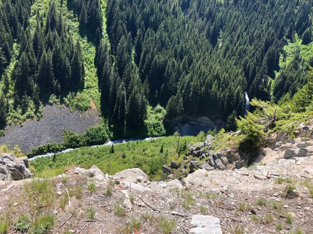 Vertical view of a waterfall in the forest