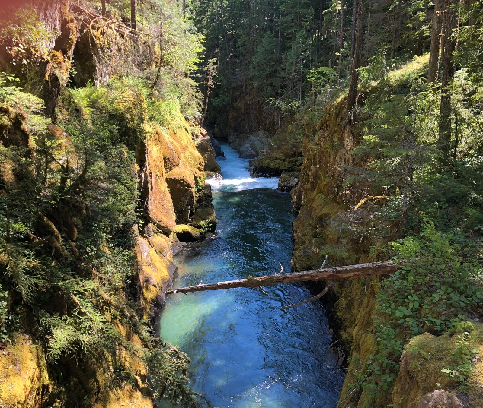 Gorge by Silver Falls