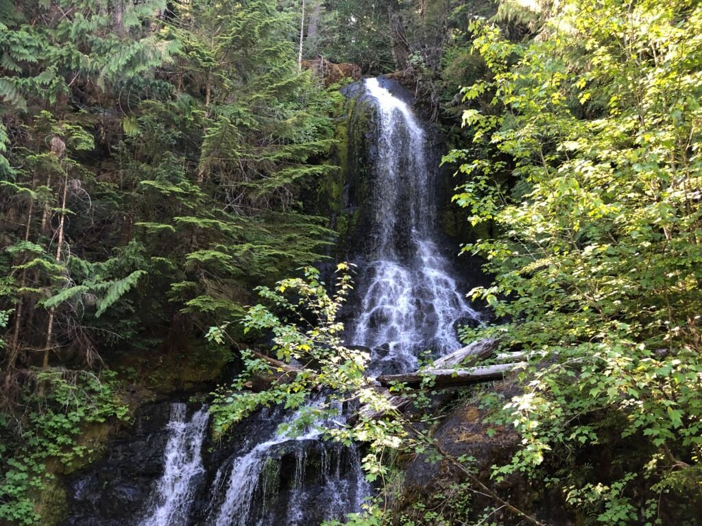 Waterfall in Mount Rainier