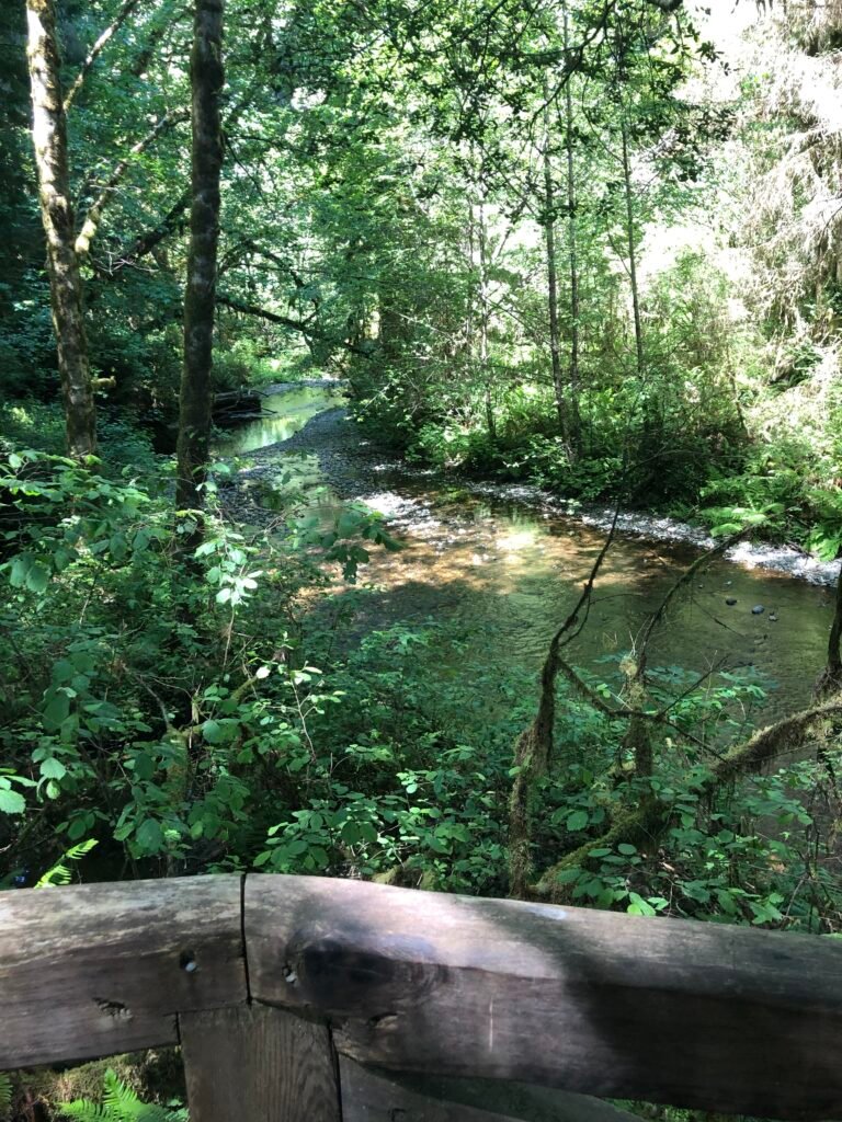 River by Prairie Creek