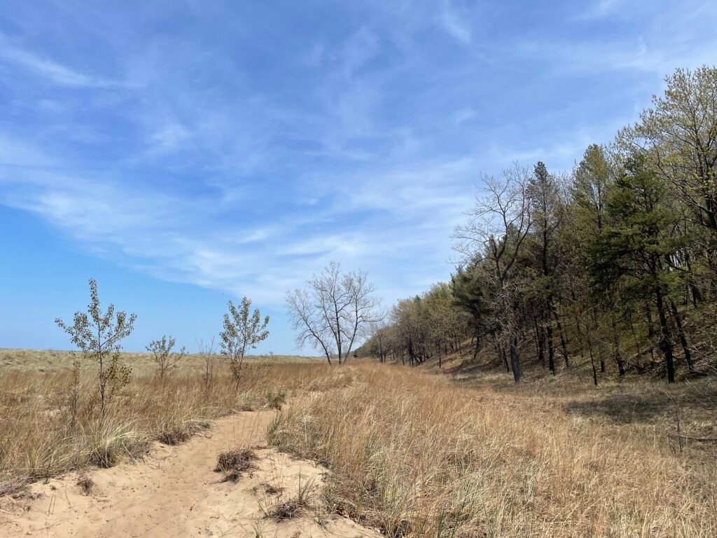 Beach trail