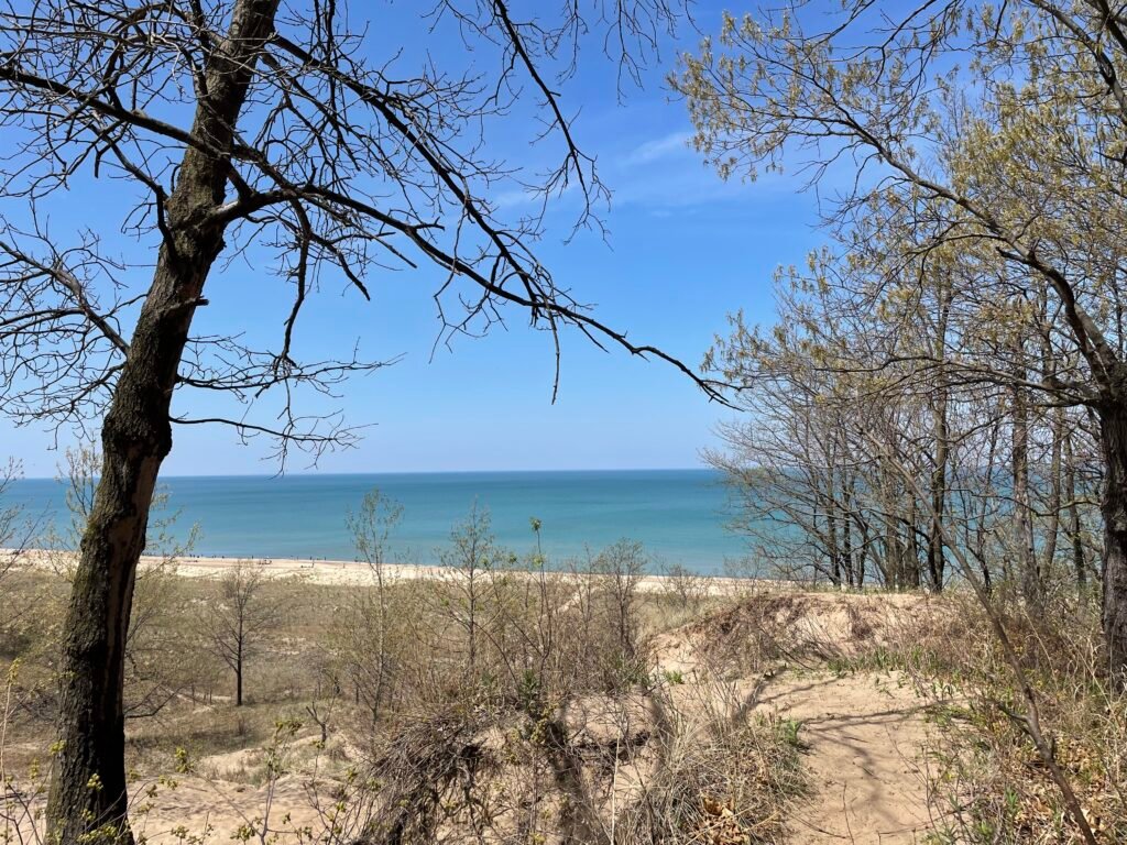 Lake Michigan, from Cowles Bog Trail