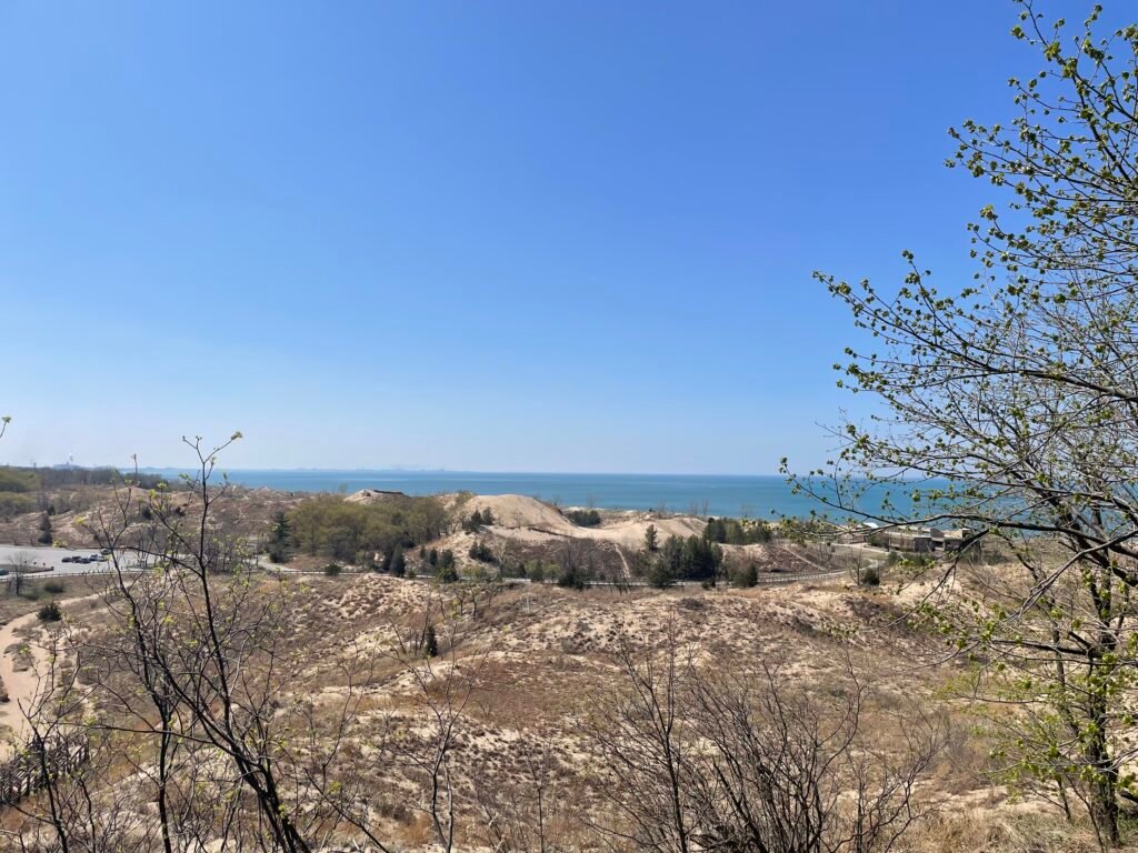 Top of the Dunes