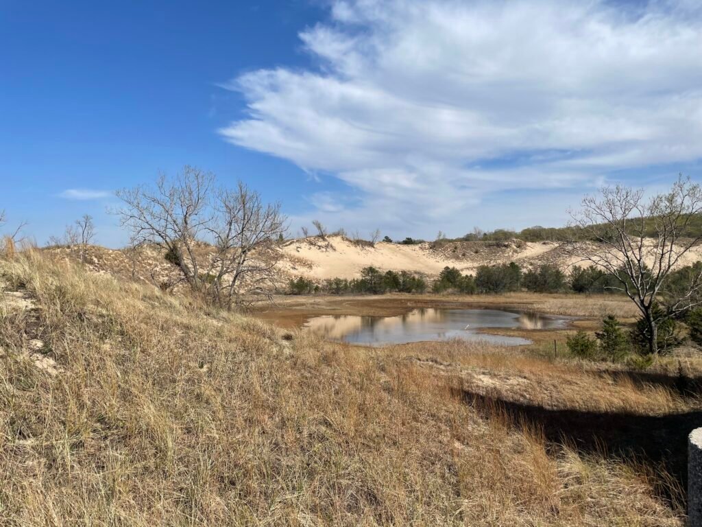 Pond in Indiana Dunes National Park