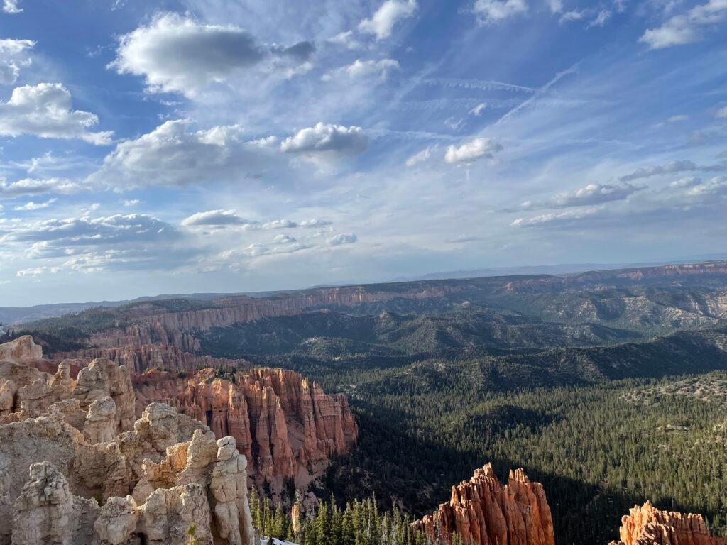 View of hoodoos and forest from the highest point the park
