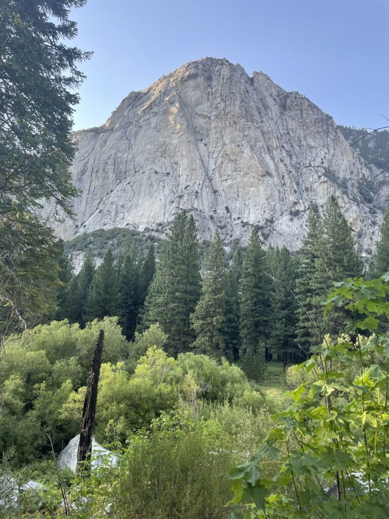 Zumwalt Meadow