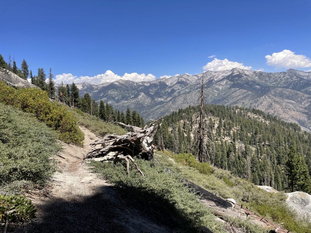 Sierra Nevada Mountains