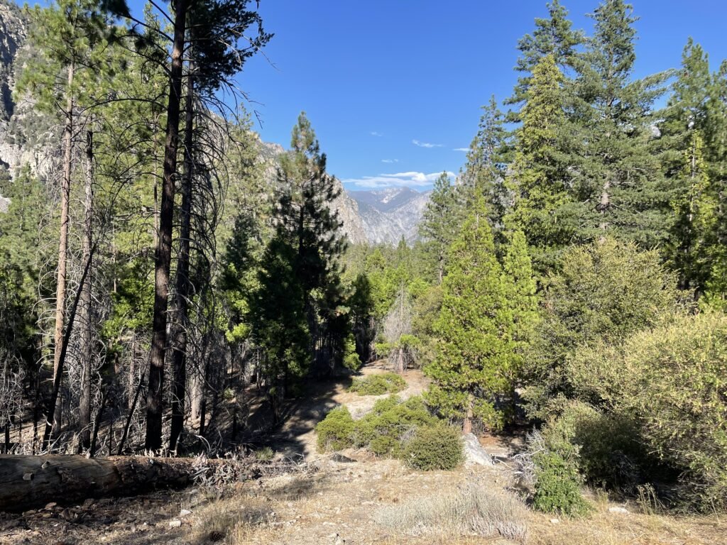 Canyon View